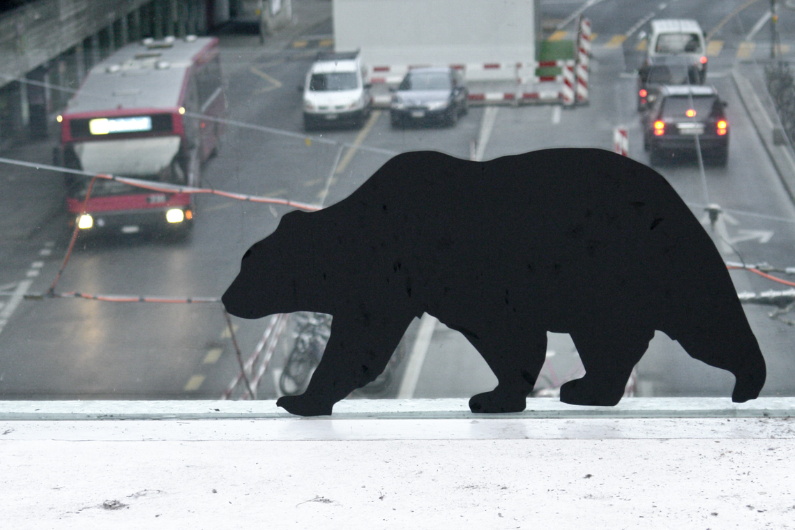 windowzoo bear