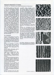 Schweizersiche Lehrerzeitung (1977)